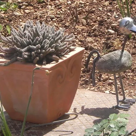 Nanito * تروغير